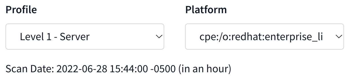 Profile dropdown and scan date shown above the scan results